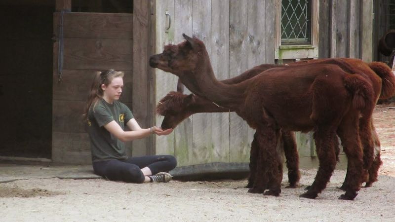 The Volunteers Who Make Everything Possible