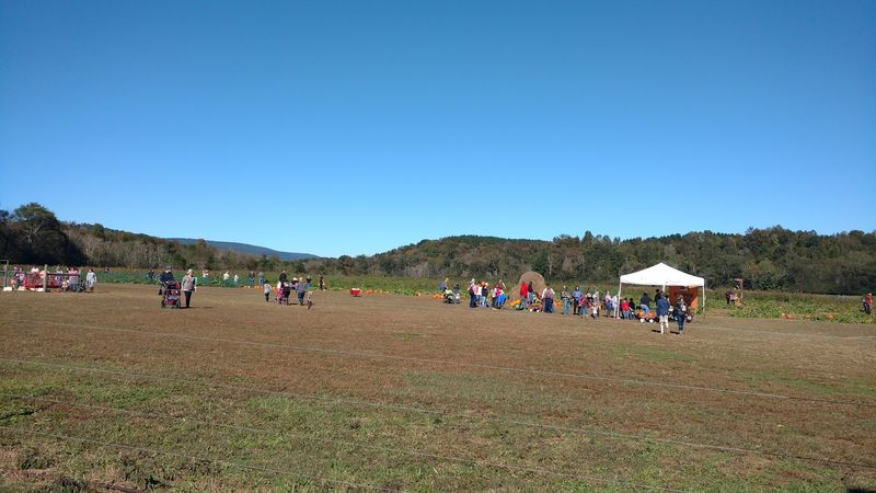 Over 2,000 Acres Of Land Ready To Be Explored