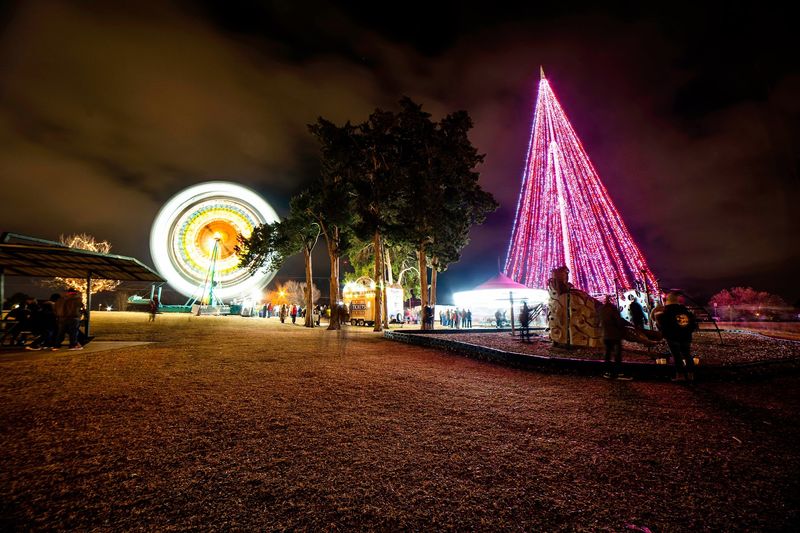 The Iconic 172-Foot Christmas Tree You Can See For Miles