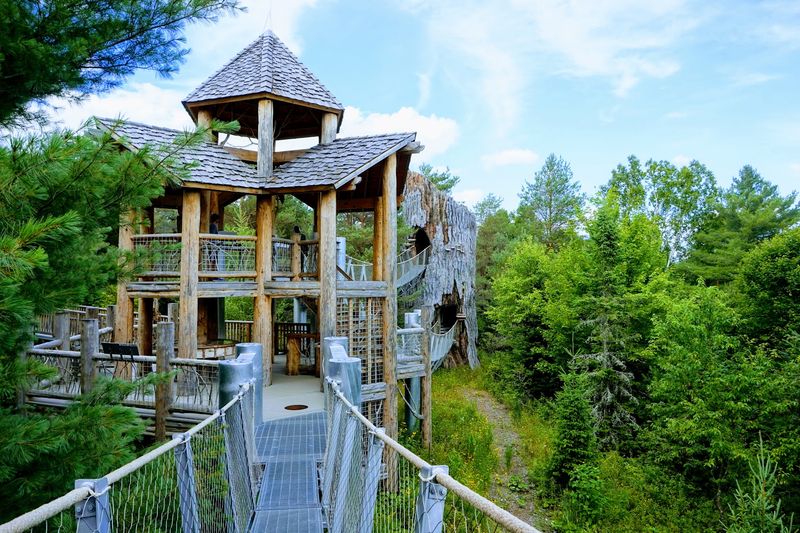 Tupper Lake And The Wild Center
