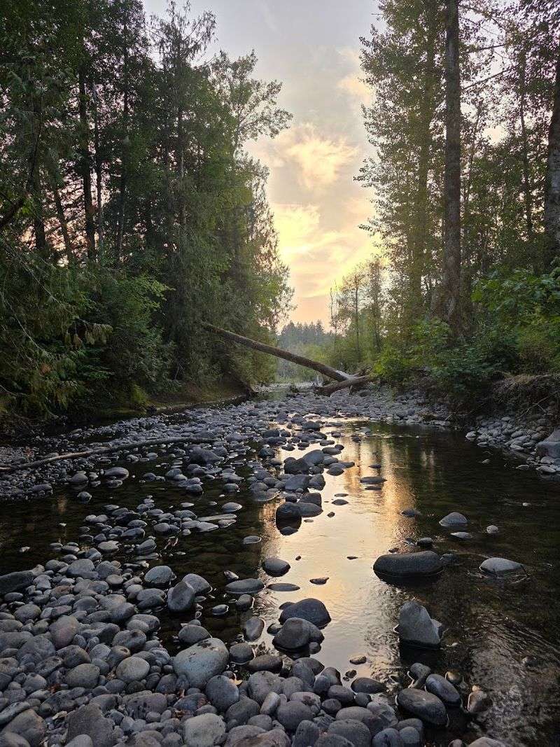 Nature Photography And Quiet Reflection