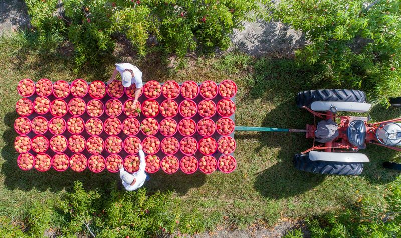 Sustainable Agriculture At The Core