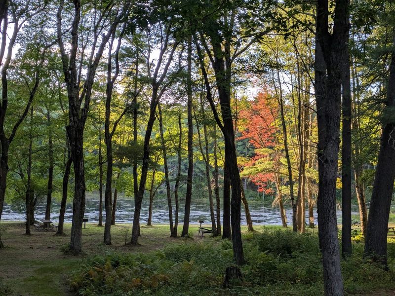 The Quiet Art Of Doing Absolutely Nothing In The Meadow