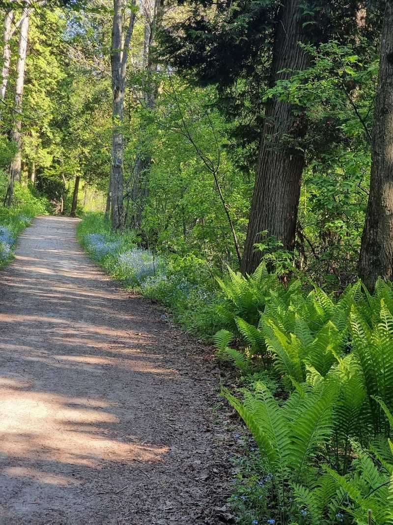 Mid-May Migration Brings Warblers Through The Park