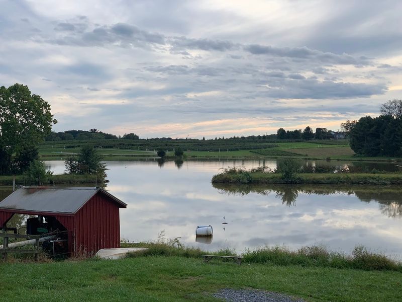 A Farm With Stunning Scenery