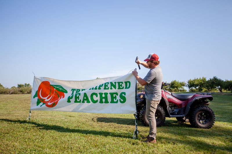 Storytime Fridays And Events That Build A Community Around The Farm