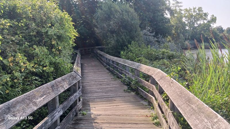 Local Regulations And Preservation Efforts