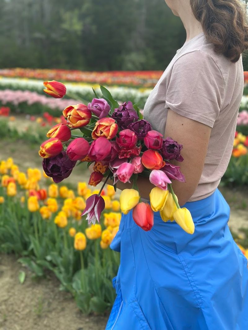 Proposals, Anniversaries, And Romantic Visits In The Fields