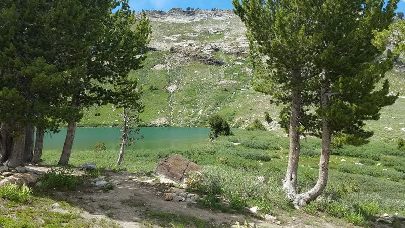 Local Flora Contributing To Scenic Beauty