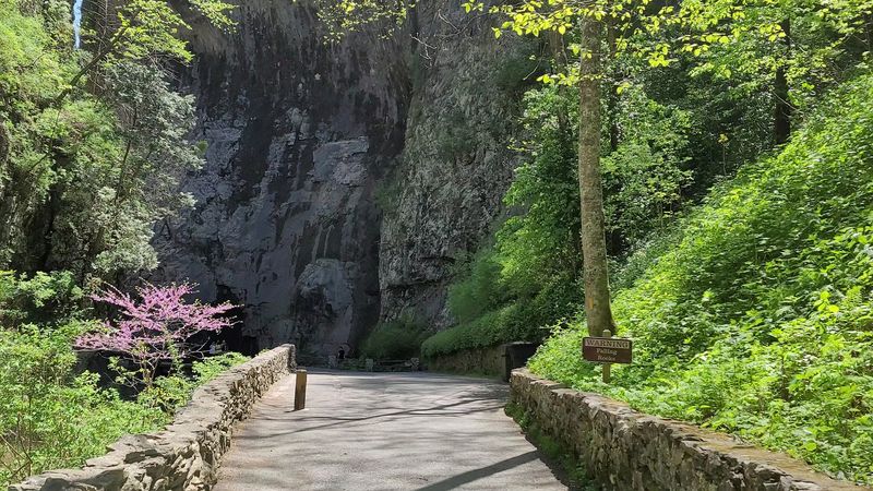 Seasonal Changes And Their Effects On Landscape