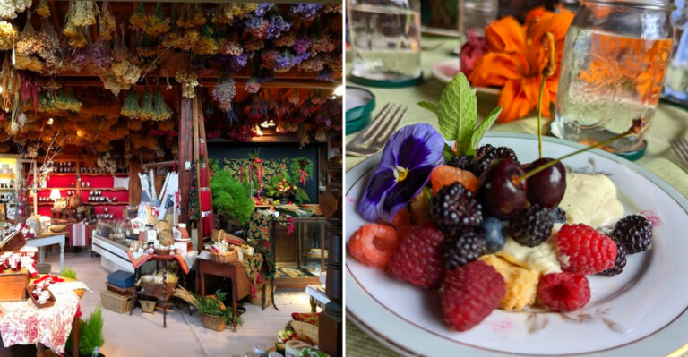 Pick Fresh Blackberries And Discover More Treats At This Classic New York Orchard In 2026