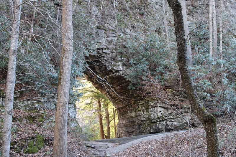 Backbone Rock, Shady Valley