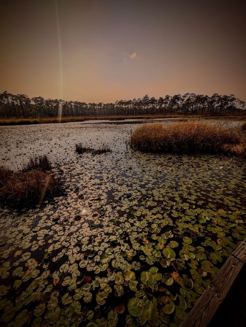 Photography Tips For Capturing The Landscape