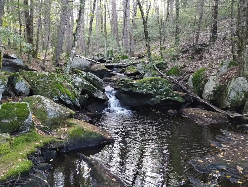 The Broader Landscape: Willard Brook State Forest And Beyond