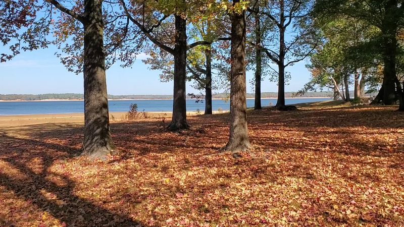 George P. Cossar State Park