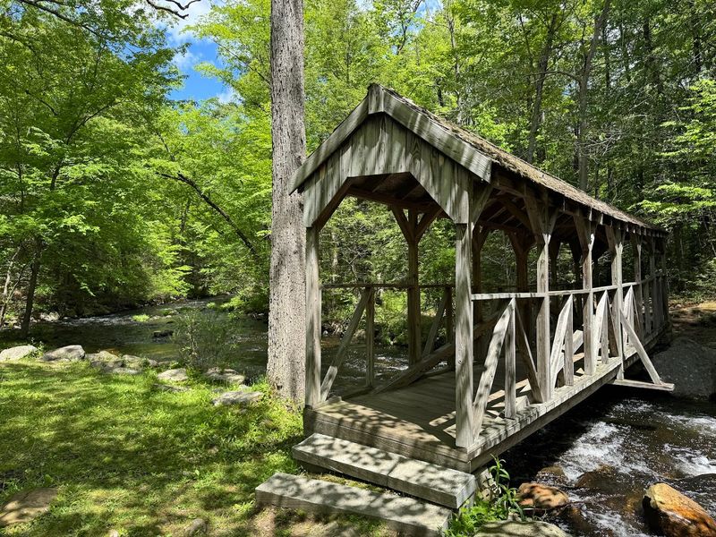 Willard Brook State Forest Campground, West Townsend