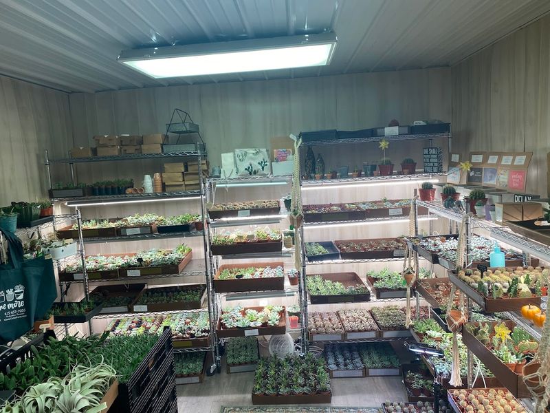 Over 100 Varieties And The Joy Of Choosing Your Own