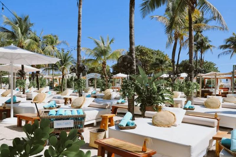 Dining Options With Fresh Seafood And Snacks