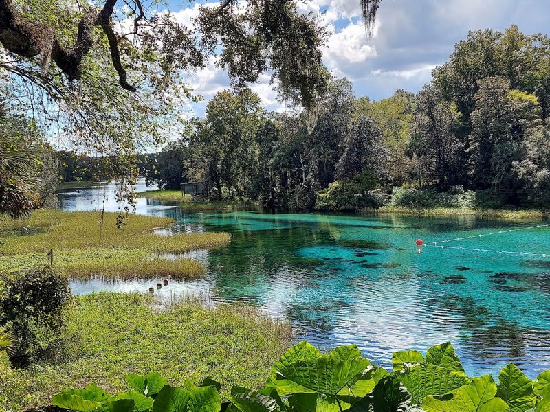 Local Flora And Fauna To Observe