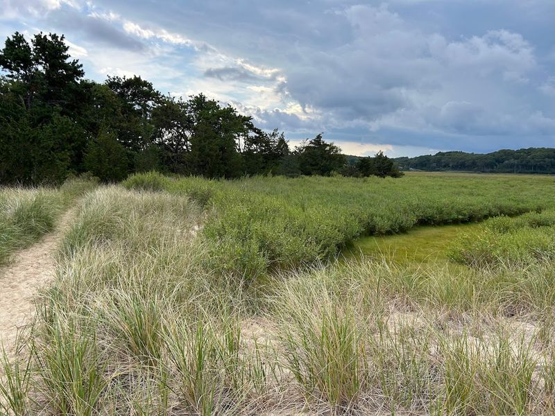 Rolling Meadows And Open Fields Worth Wandering Through