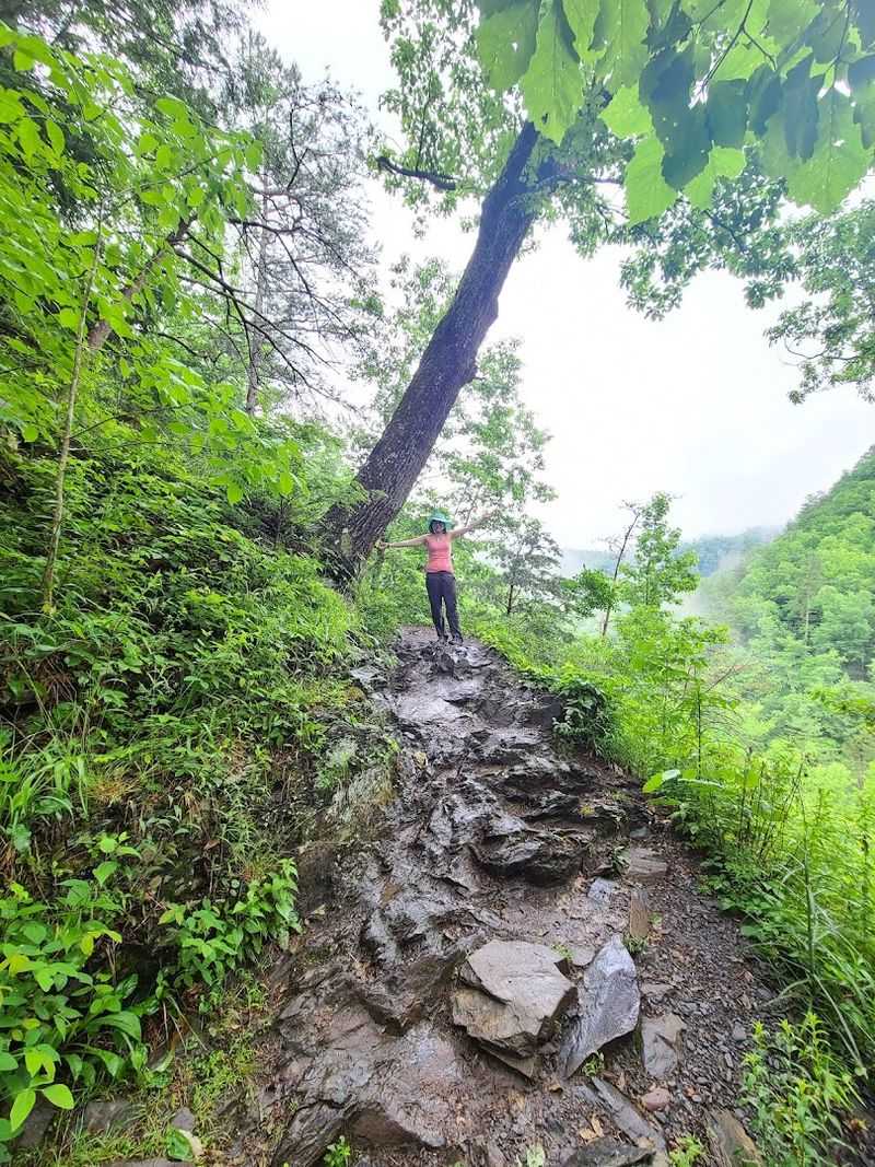 Why This Trail Stands Apart From Everything Else Nearby