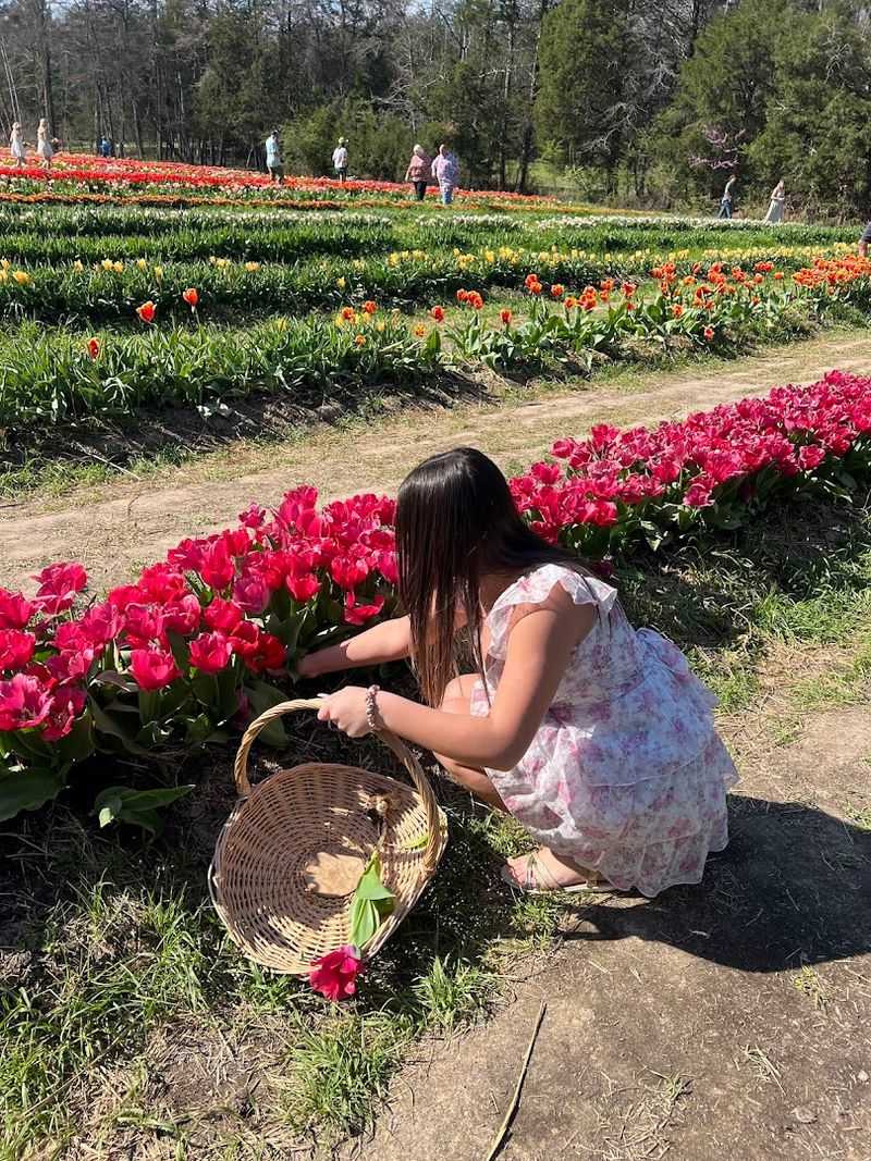 Welcoming Pets And The Farm's Relaxed, Open Atmosphere