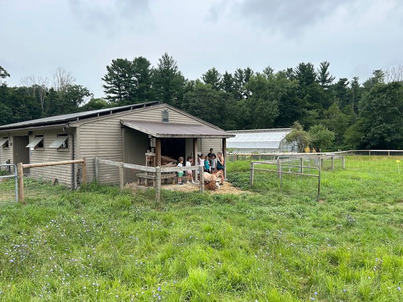 Why Drumlin Farm Earns Repeat Visits From Families Across Massachusetts