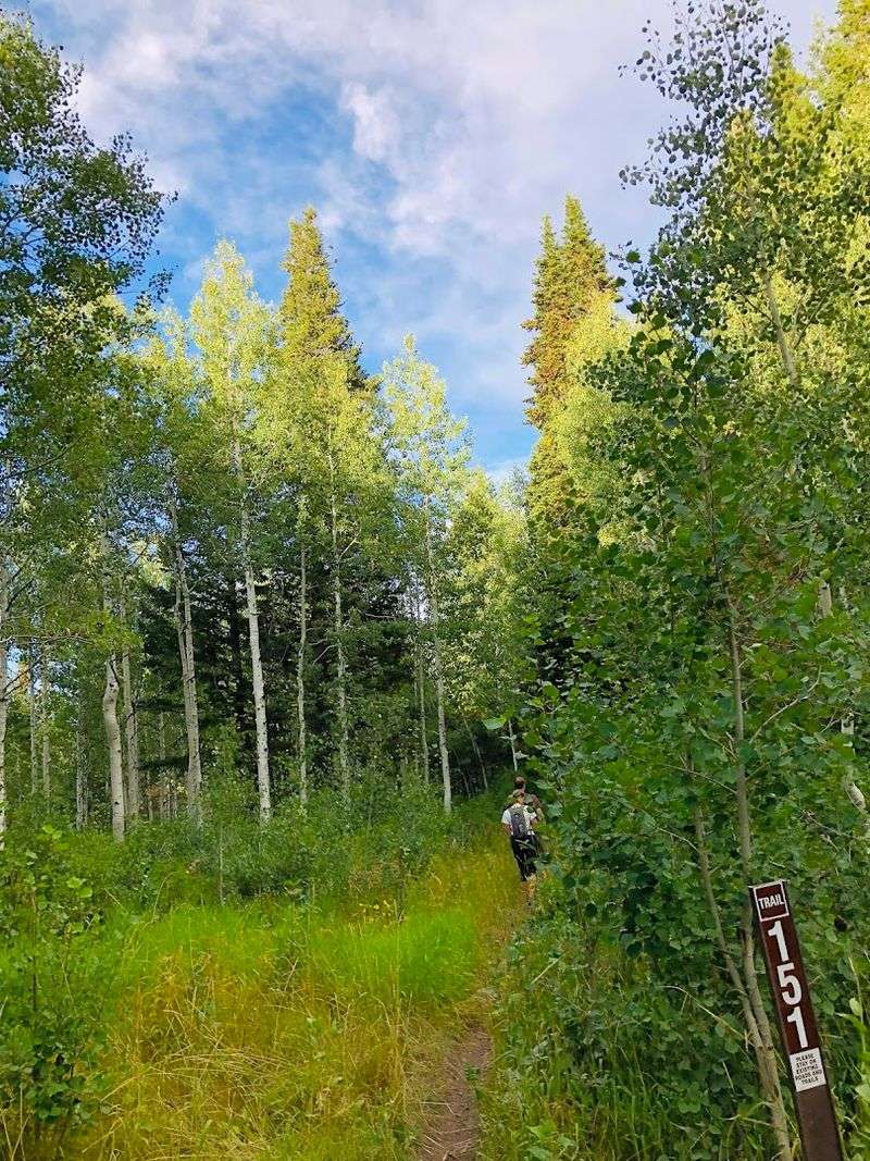 Essential Gear For Peaceful Outdoor Excursions