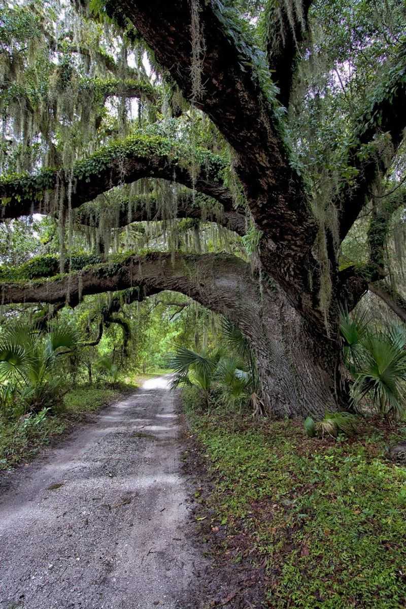 Unique Coastal Flora And Habitat Conservation