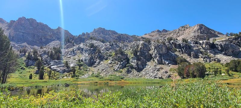 Wildlife Habitats Surrounding The Lake