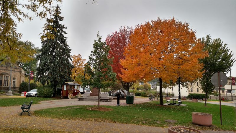 Sustainability Initiatives And Green Spaces