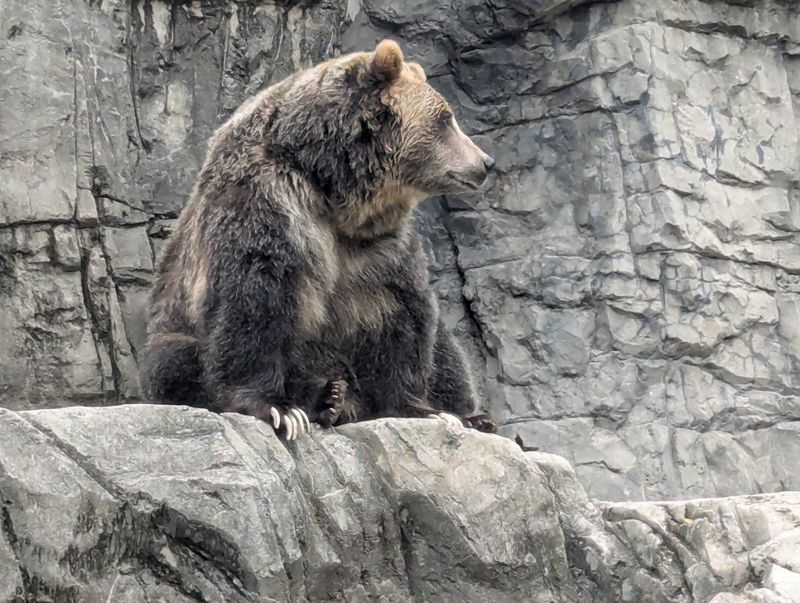 Central Park Zoo