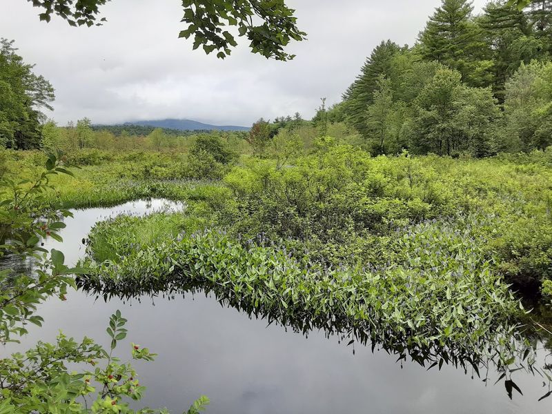 Educational Programs Featuring Local Ecology