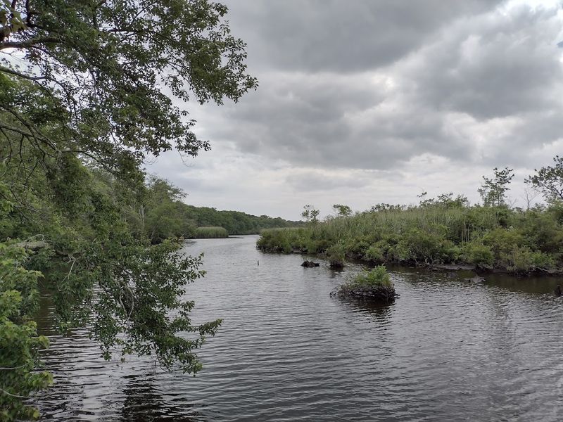 Wertheim National Wildlife Refuge