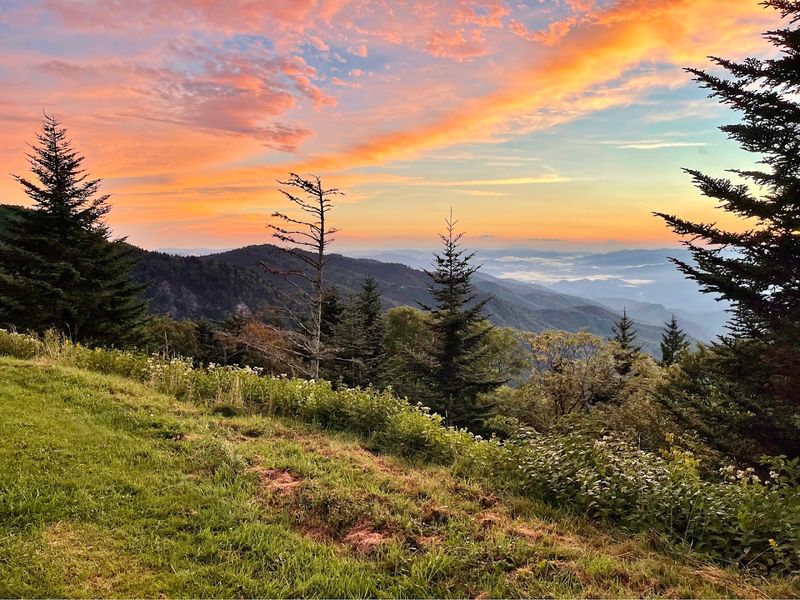Waterrock Knob, Sylva