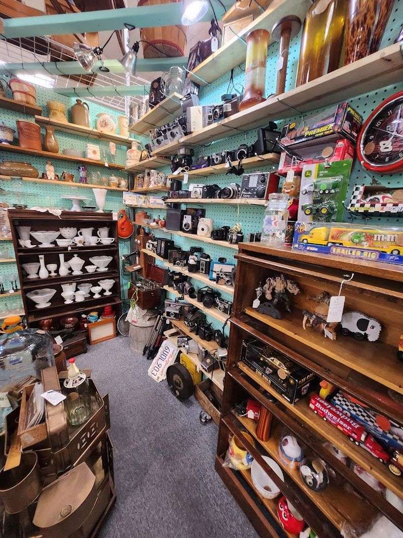 Shelves Filled With Hard-To-Find Collectibles