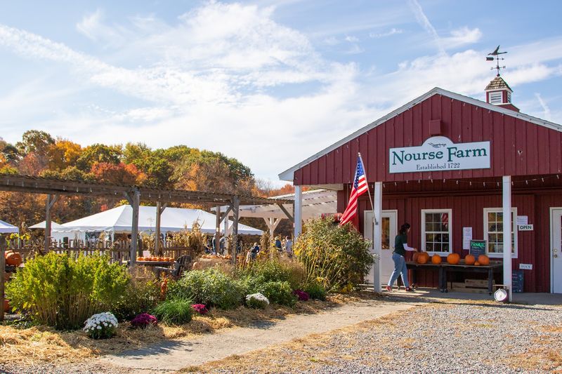 The Farm Store Is Worth A Long Browse
