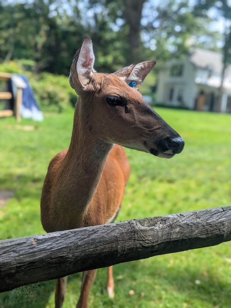 Sweetbriar Nature Center