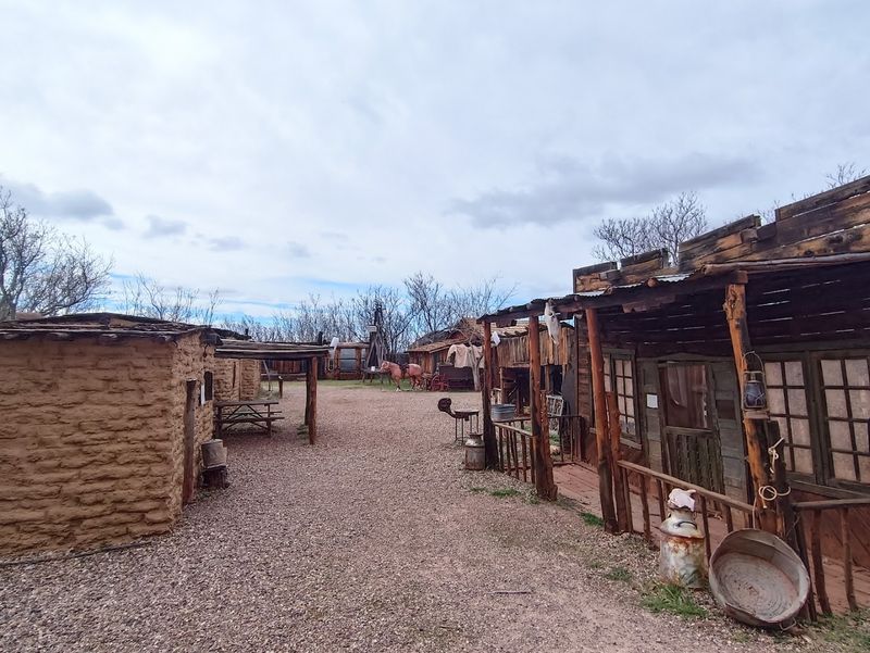 Desert Landscapes And Wildlife Observations