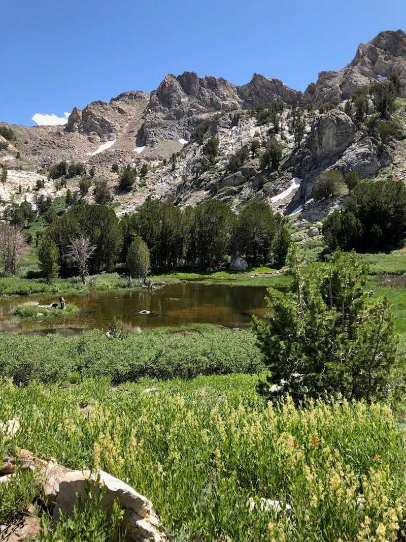 Seasonal Changes Impacting Lake Ecosystems