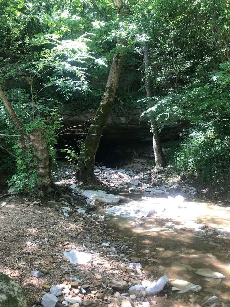Seasonal Changes Affecting River Water Purity And Appearance