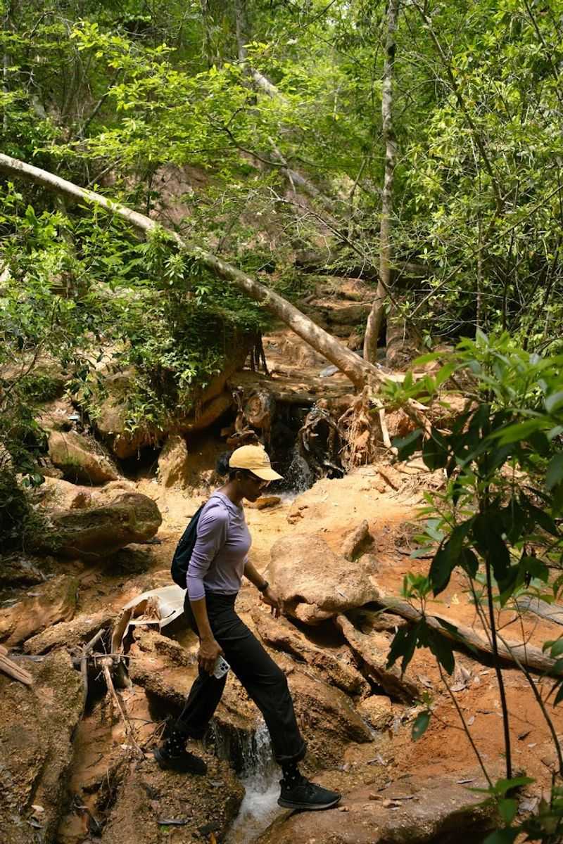 The Hike Down Is A Real Adventure
