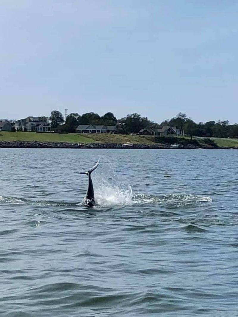 Deltaville