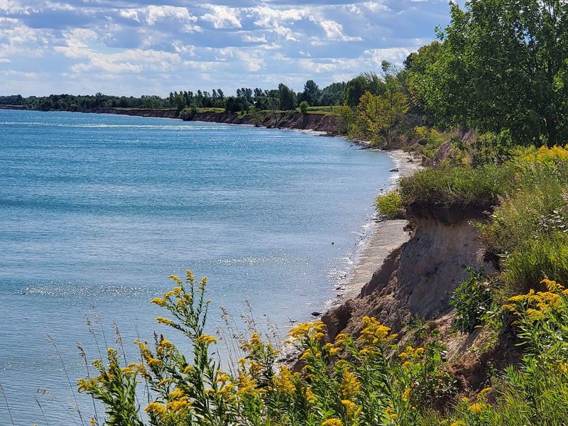 Six Miles Of Unspoiled Shoreline For Just $8 At Point Beach State Forest