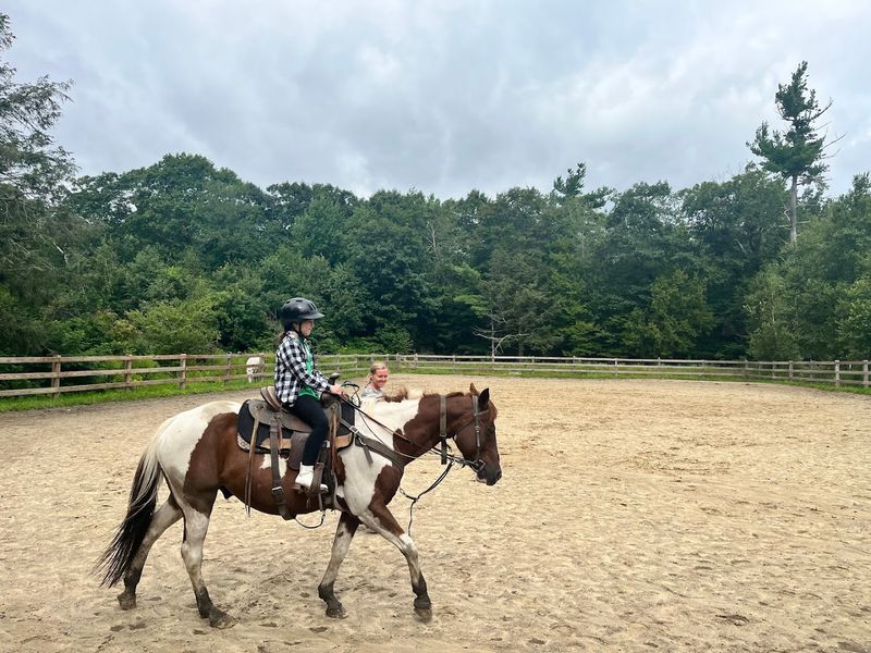 Adult All-Day Riding Workshops That Actually Teach You Something
