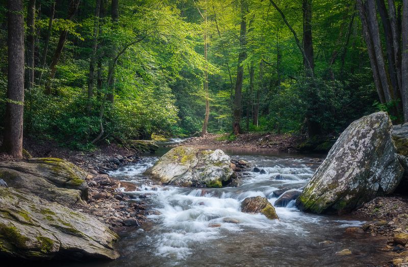 The Doe River Walk That Belongs On Every Visitor's List
