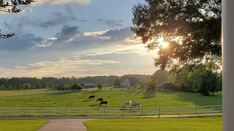 Belcavallo Farm LLC
