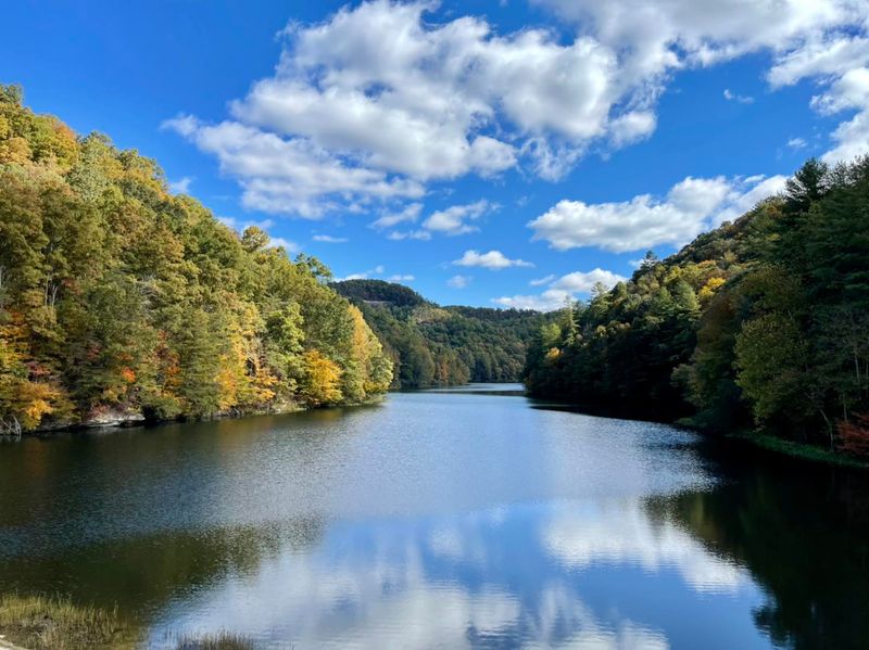 Paddle The Wild River