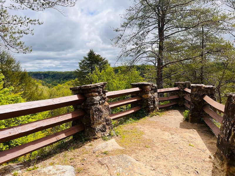Accessible Views For Every Visitor