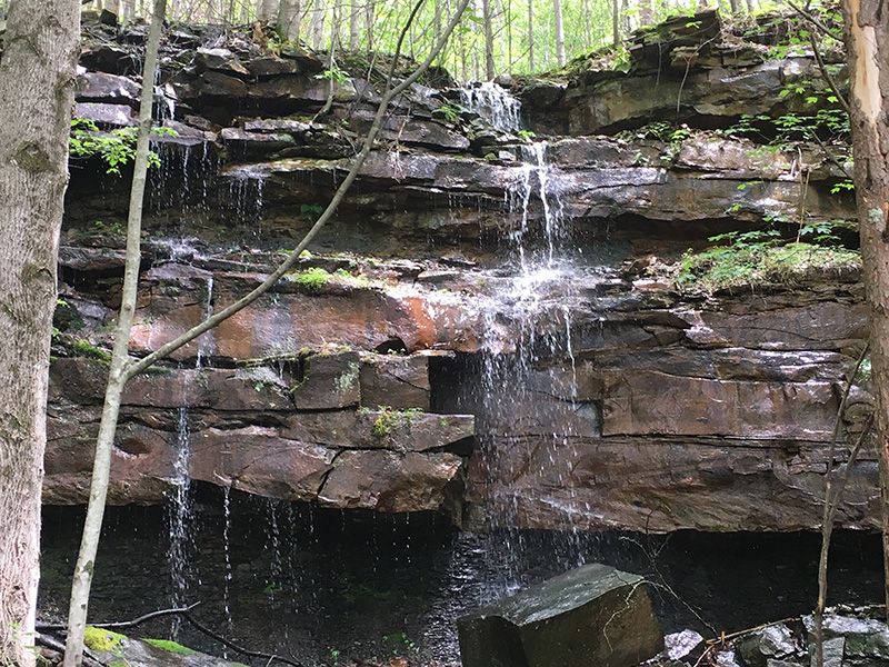 Seasonal Waterfalls And Creeks Running Through The Property